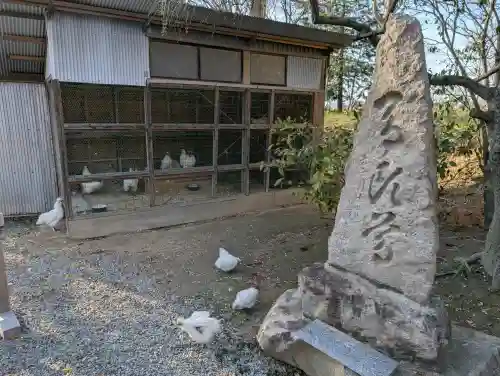 高屋敷稲荷神社の{uncategorized: "未分類", other: "その他", undefined: "問題あり", building: "その他建物", grave: "お墓", sacred_gate: "鳥居", guardian: "狛犬", statue: "像", buddha: "仏像", history: "歴史", nature: "自然", garden: "庭園", animal: "動物", pagoda: "塔", temizu: "手水舎", mountain_gate: "山門・神門", sanctuary: "本殿・本堂", subordinate: "末社・摂社", art: "芸術", scenery: "景色", jizo: "地蔵", ema: "絵馬", goshuin: "御朱印", omikuji: "おみくじ", items: "授与品その他", amulet: "お守り", goshuincho: "御朱印帳", eats: "食事", festival: "お祭り", votive_dance: "神楽", shichigosan: "七五三参", wedding: "結婚式", experience: "体験その他", initially: "初詣", around: "周辺", anti_infection: "感染症対策"}