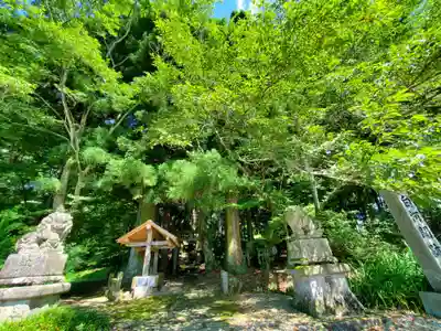 白河神社の狛犬