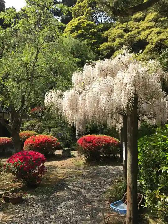 南原寺(山口県)