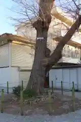 中曽根神社の自然