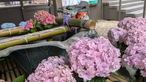 長谷寺(奈良県)