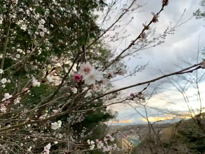 吾妻神社の自然