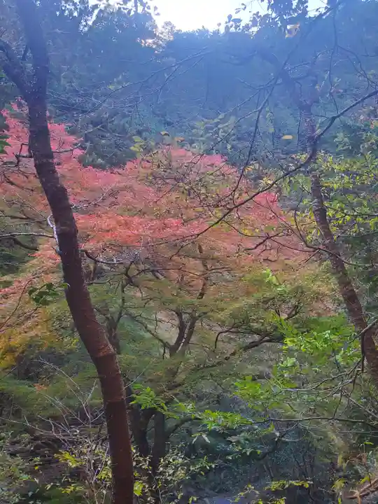 蓬莱神社の景色