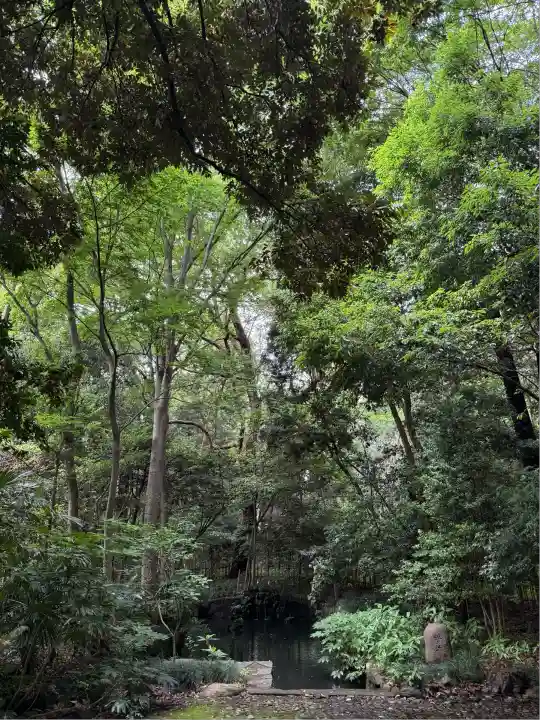 武蔵一宮氷川神社(埼玉県)