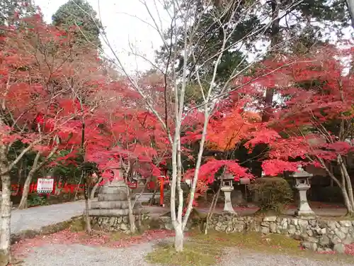 大原野神社の自然