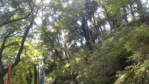 唐澤山神社(栃木県)
