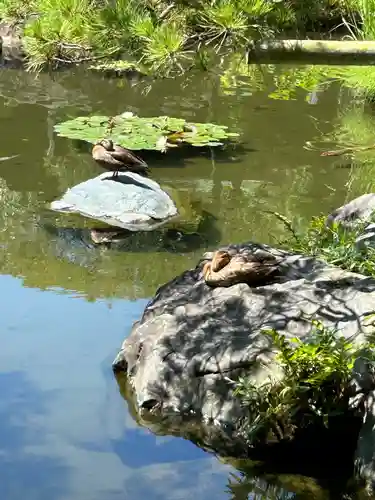 西新井大師総持寺(東京都)