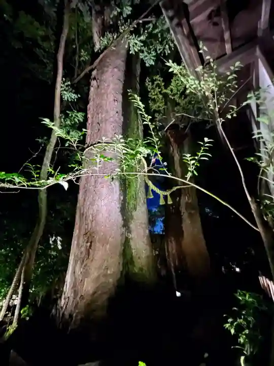 川越氷川神社の{uncategorized: "未分類", other: "その他", undefined: "問題あり", building: "その他建物", grave: "お墓", sacred_gate: "鳥居", guardian: "狛犬", statue: "像", buddha: "仏像", history: "歴史", nature: "自然", garden: "庭園", animal: "動物", pagoda: "塔", temizu: "手水舎", mountain_gate: "山門・神門", sanctuary: "本殿・本堂", subordinate: "末社・摂社", art: "芸術", scenery: "景色", jizo: "地蔵", ema: "絵馬", goshuin: "御朱印", omikuji: "おみくじ", items: "授与品その他", amulet: "お守り", goshuincho: "御朱印帳", eats: "食事", festival: "お祭り", votive_dance: "神楽", shichigosan: "七五三参", wedding: "結婚式", experience: "体験その他", initially: "初詣", around: "周辺", anti_infection: "感染症対策"}
