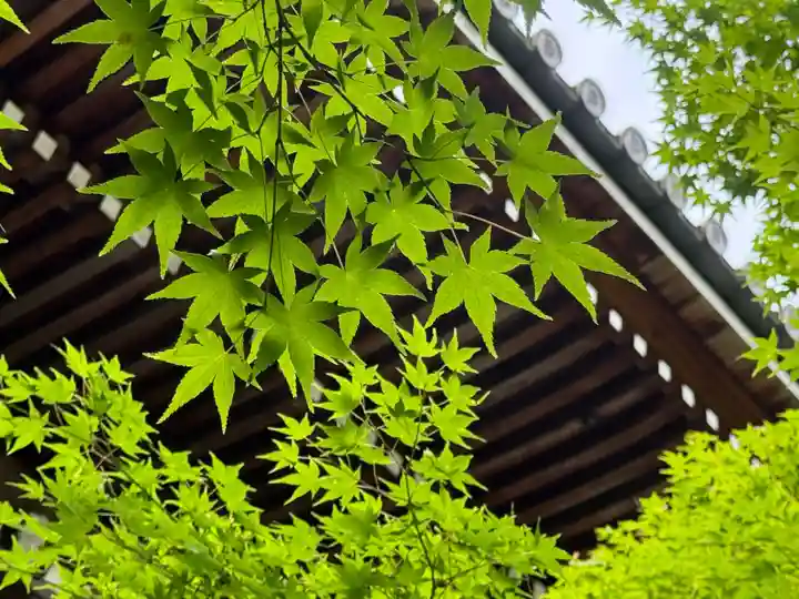 西方山極楽寺(岐阜県)
