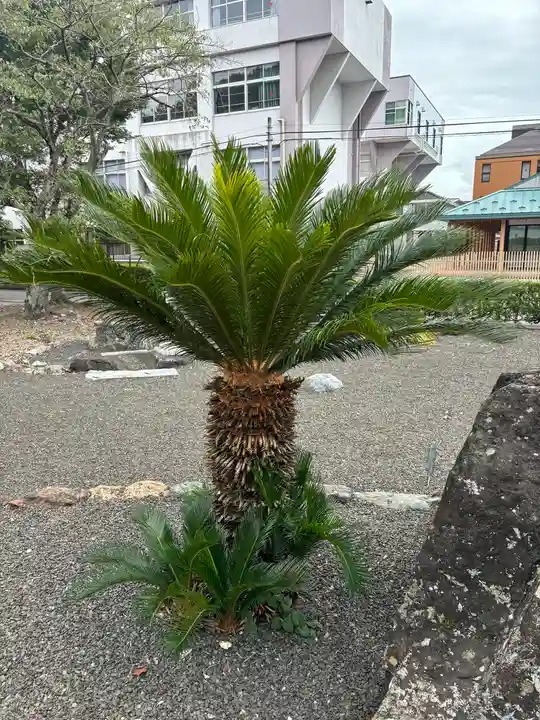 多田幸寺の自然