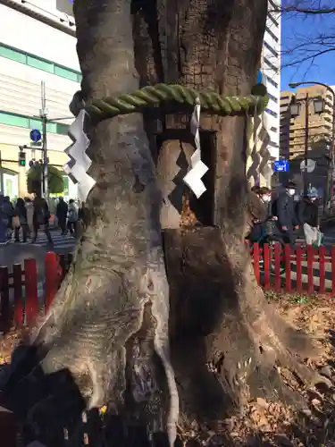 大國魂神社(東京都)
