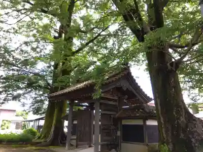 金剛院(福井県)