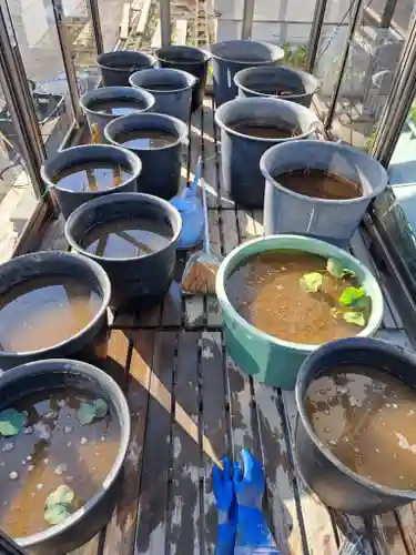 極楽山　浄土寺(北海道)