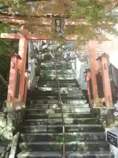 阿賀神社の鳥居