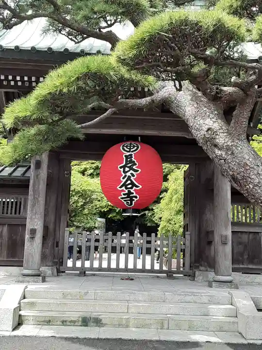 長谷寺の山門・神門