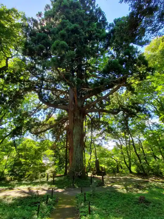 白河神社(福島県)