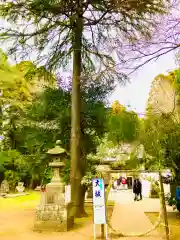 蛟蝄神社奥の宮(茨城県)