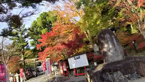 出雲大神宮(京都府)
