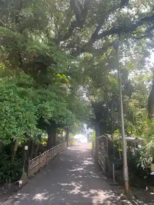 金武観音寺の周辺