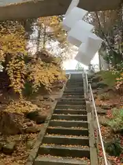 滑川神社 - 仕事と子どもの守り神の景色