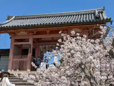 仁和寺(京都府)
