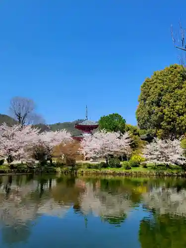 大覚寺(京都府)