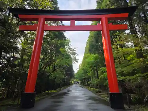 霧島神宮(鹿児島県)