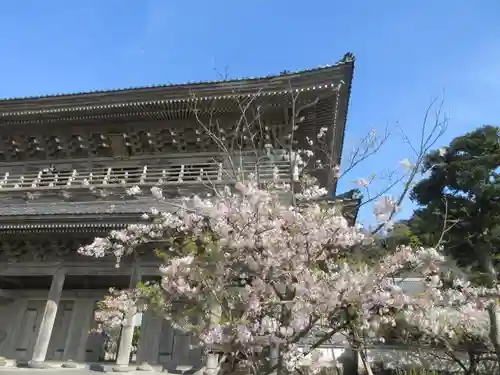 光明寺の山門・神門