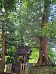 諏訪神社の末社