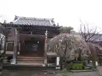 清林寺(東京都)
