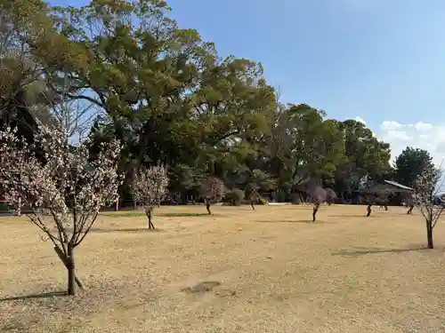 美奈宜神社(福岡県)