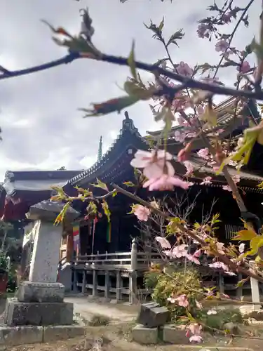 椎尾山薬王院(茨城県)