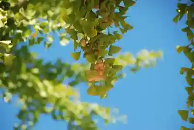 白崎神社(山口県)