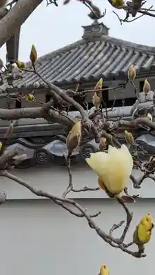 圓光寺(円光寺)(京都府)