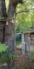 梨木神社の自然