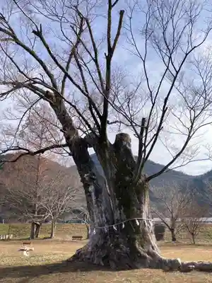 新宮八幡神社(兵庫県)