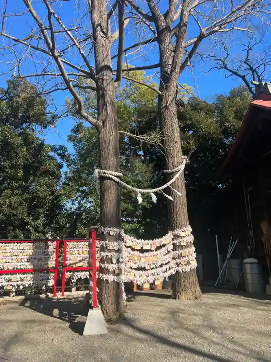 多摩川浅間神社(東京都)