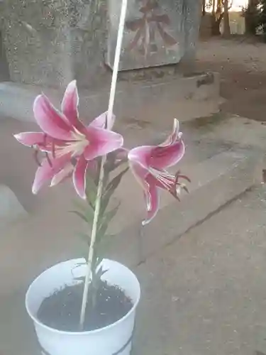 伏木香取神社(茨城県)