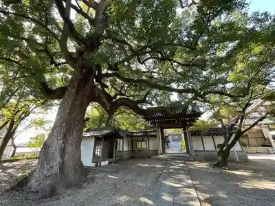 白毫寺(愛知県)