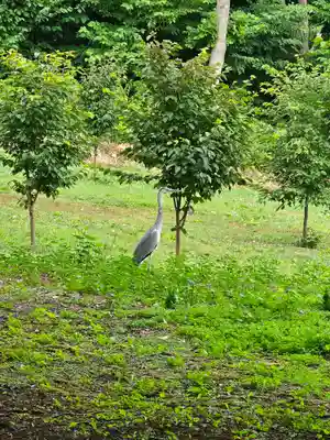 美幌神社(北海道)