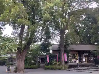 阿佐ヶ谷神明宮(東京都)