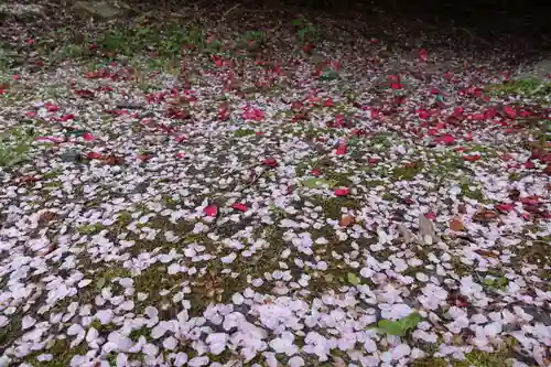 西光寺の景色