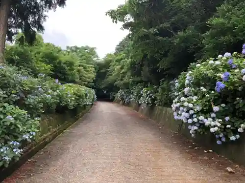 粟井神社の自然