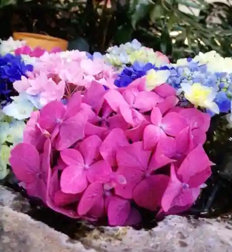 本郷氷川神社(東京都)