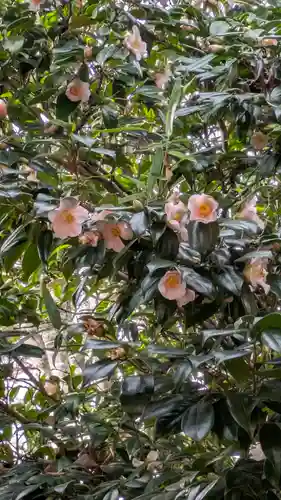 新宮神社(京都府)