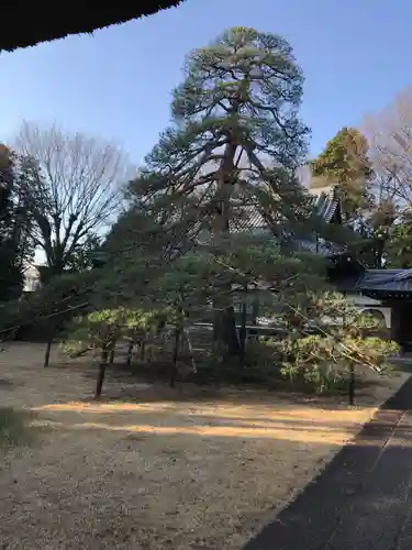 海岸寺の庭園