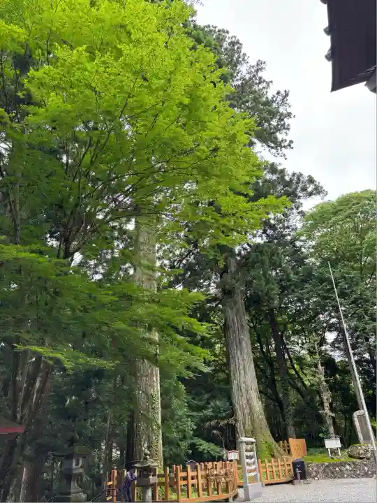 須山浅間神社(静岡県)