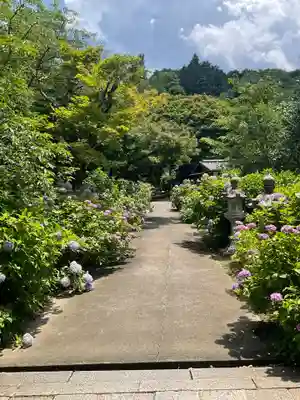 観音寺(京都府)