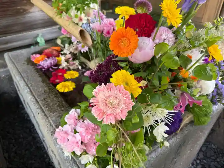 勝林寺(京都府)