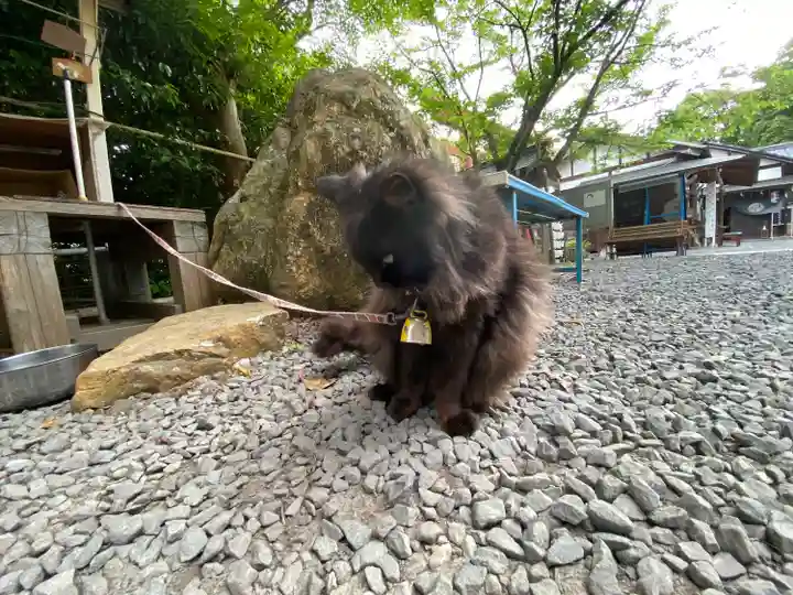粉河産土神社(たのもしの宮)(和歌山県)